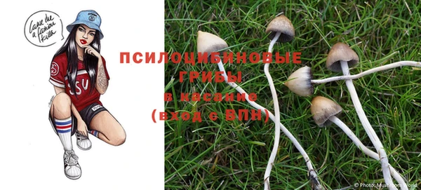 индика Армянск