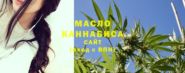 индика Армянск